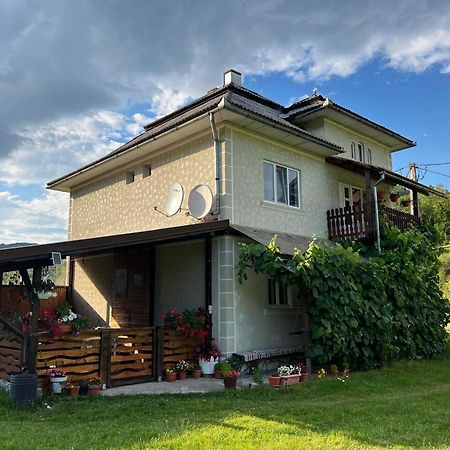 Casa Danut Villa Vidra  Bagian luar foto