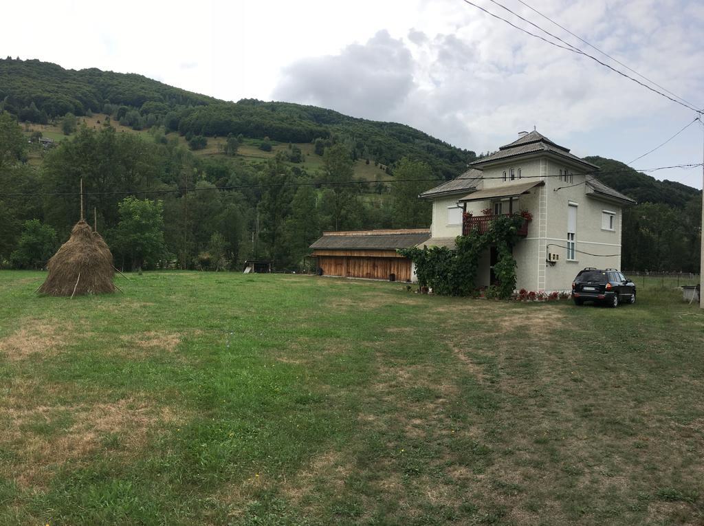 Casa Danut Villa Vidra  Bagian luar foto